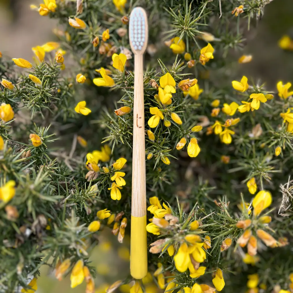 A year's supply of Truthbrush - Medium Castor Oil Bristles - Image 26