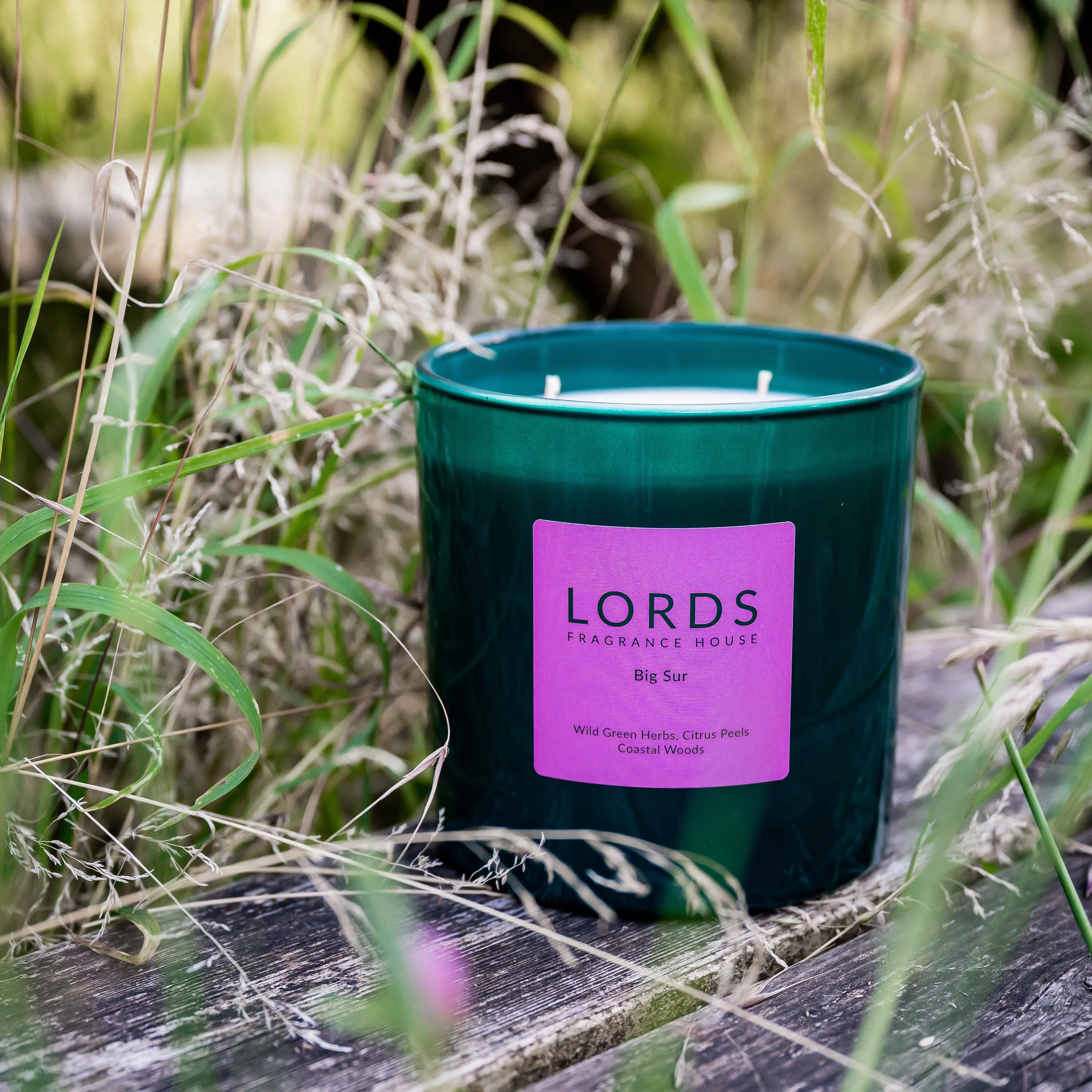 Big Sur 3 Wick Candle - Image 4