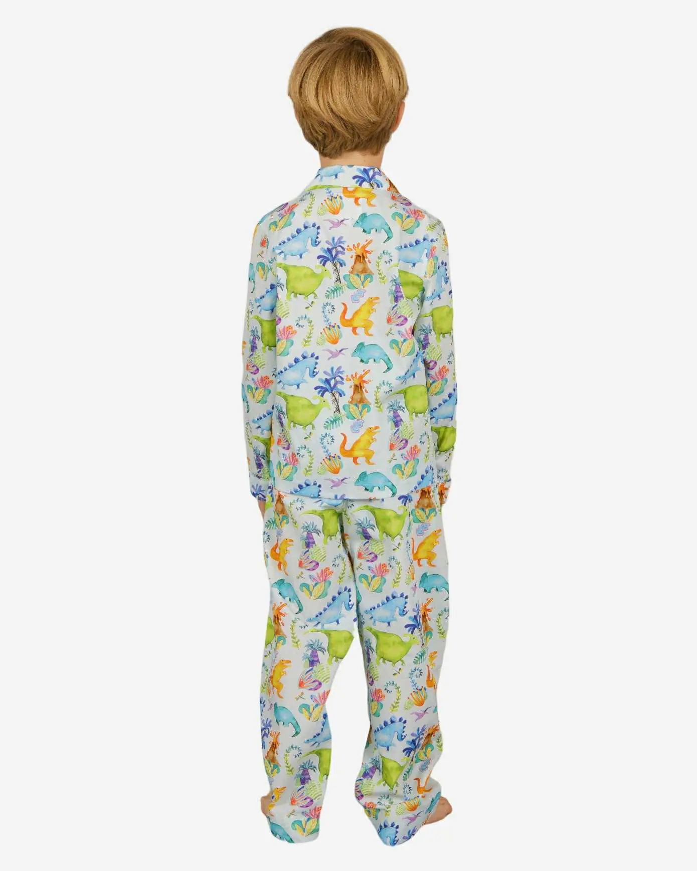 Boys Long Pyjamas - Dinosaurs - Image 3
