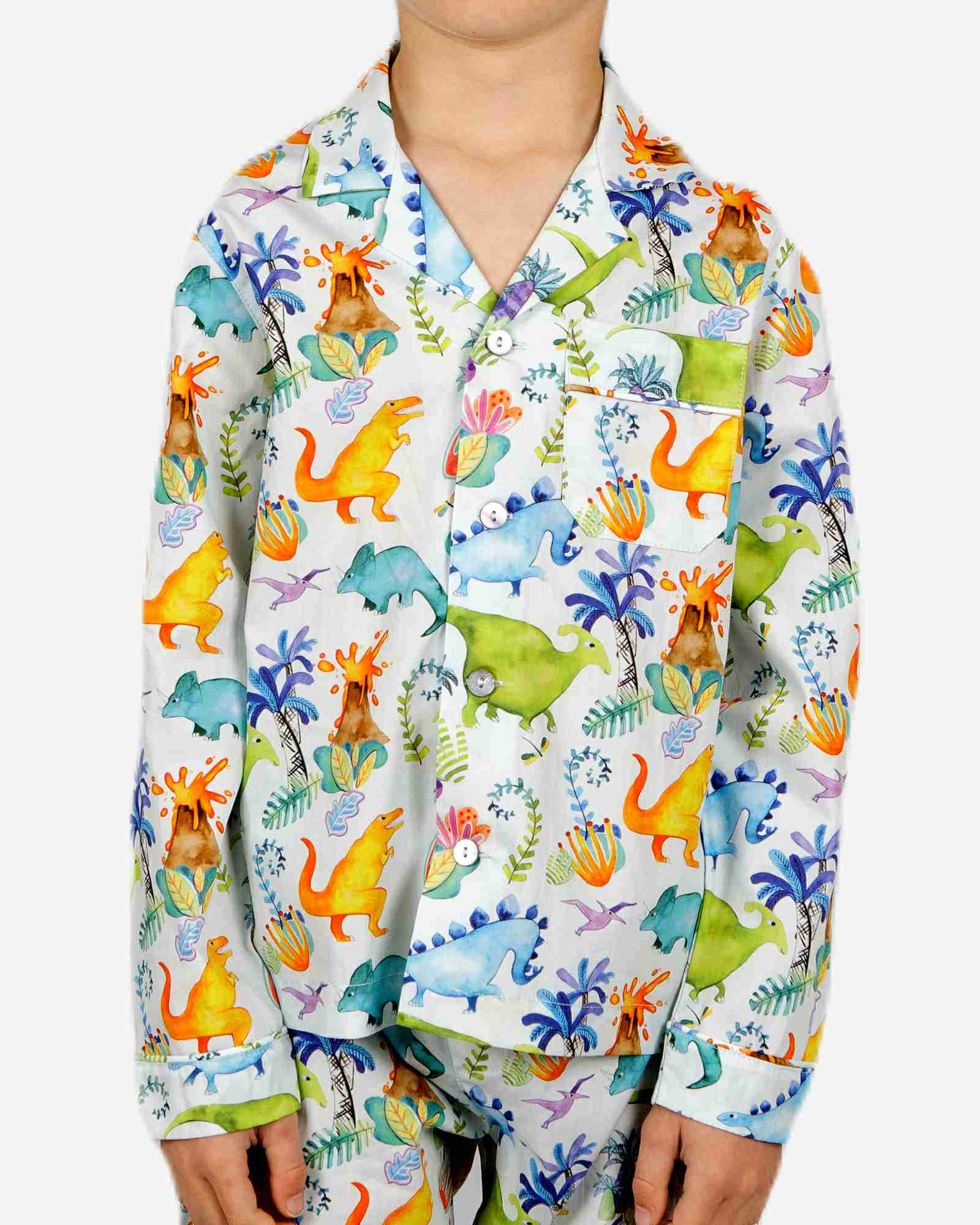 Boys Long Pyjamas - Dinosaurs - Image 4
