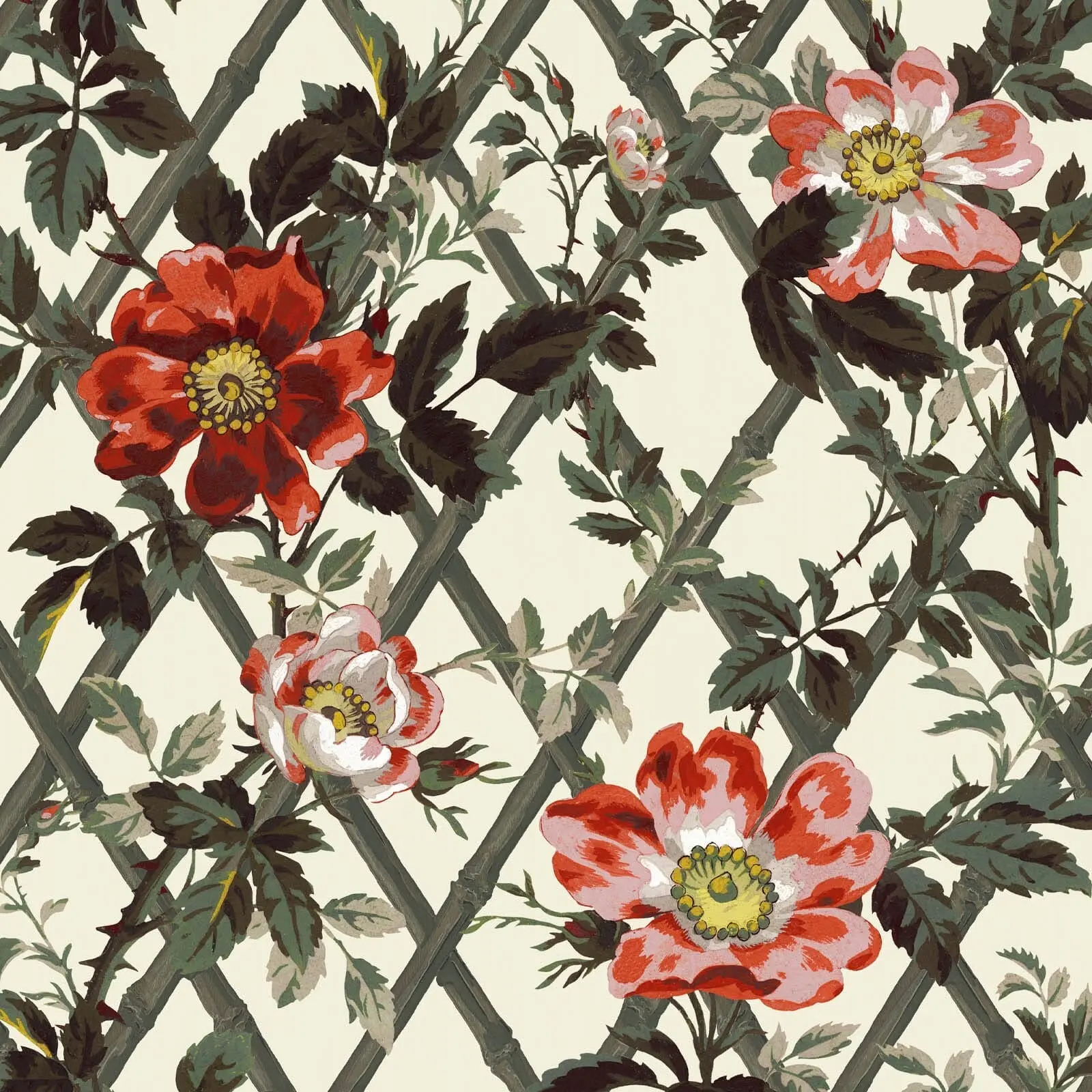 BRYHER ROSE Wallpaper - Cinnabar