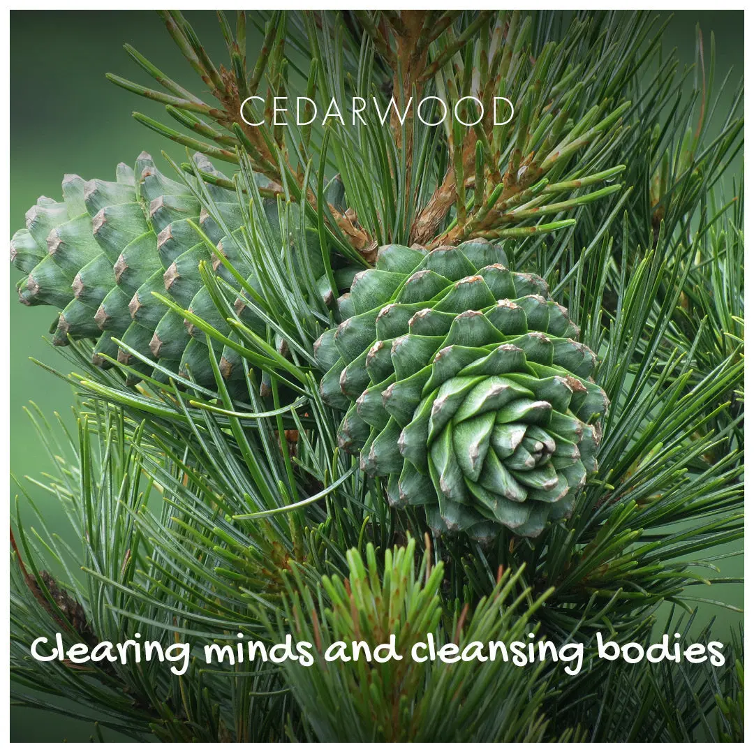Cedarwood Natural Soap - Image 3