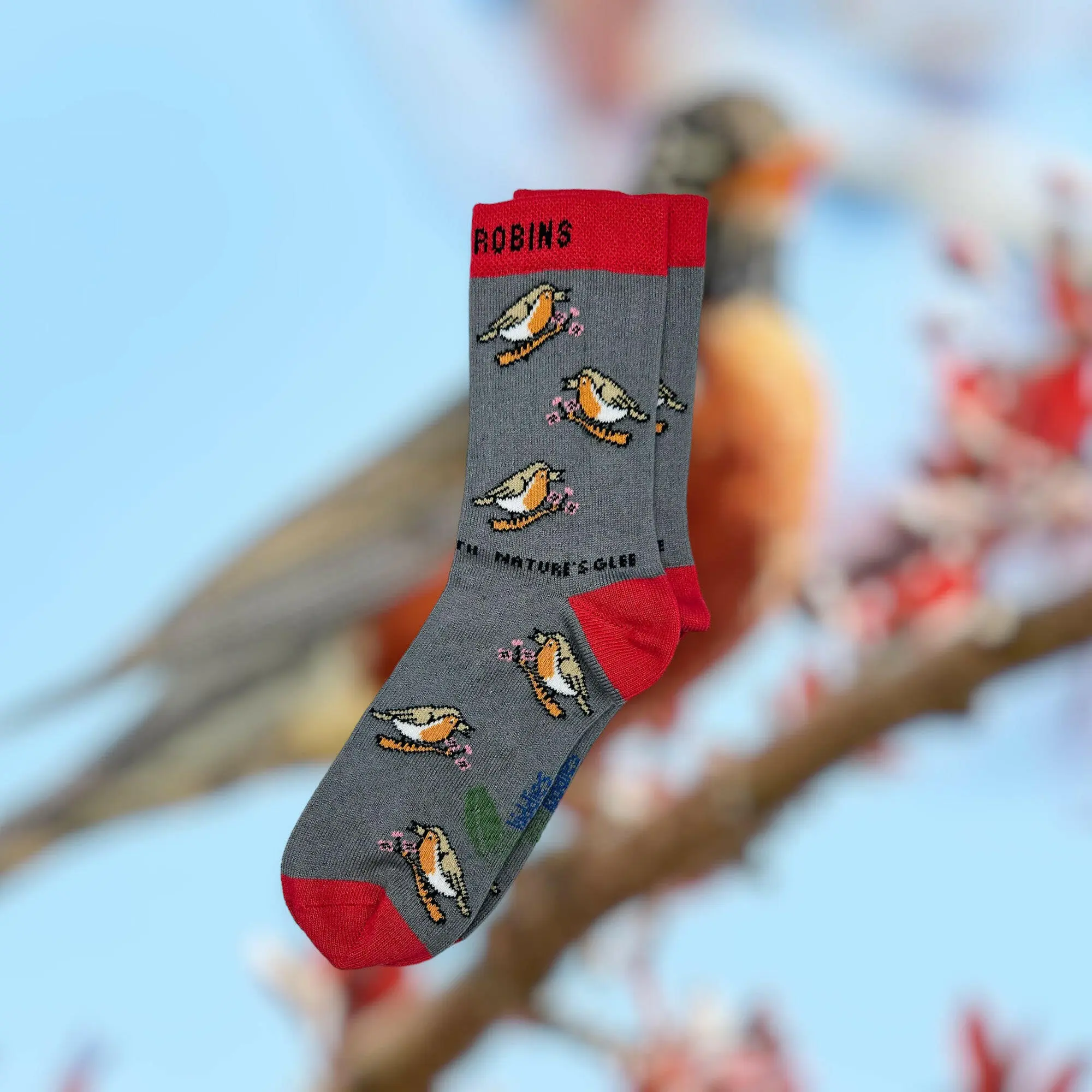 Chirpy Robin Organic Cotton Kids Socks - Image 3