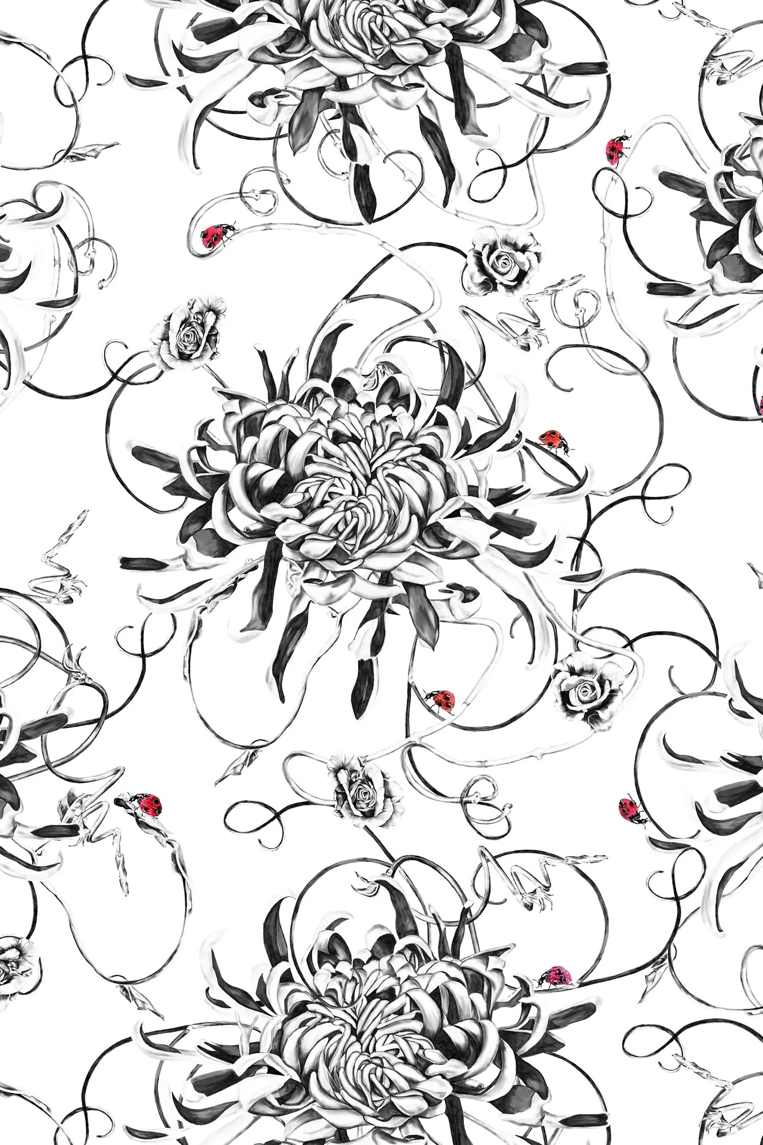 Chrysanthemum Wallpaper - White - Image 4