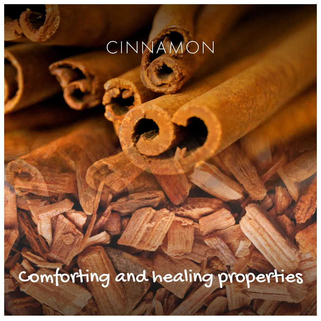 Cinnamon Natural Soap - Image 3
