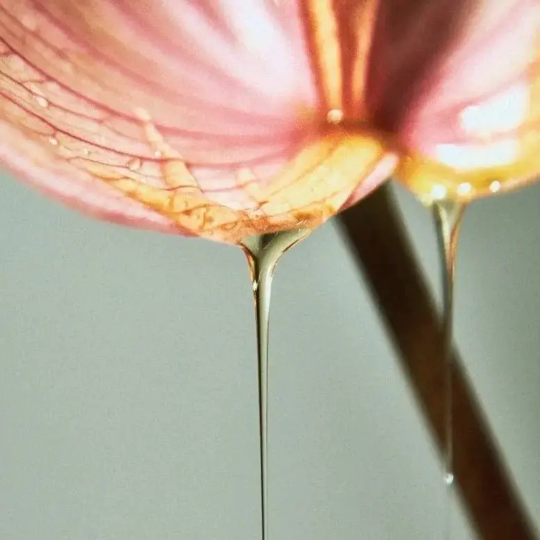 Cleopatra Botanical-Retinol Body Oil Sunrise and Sunset - Image 3