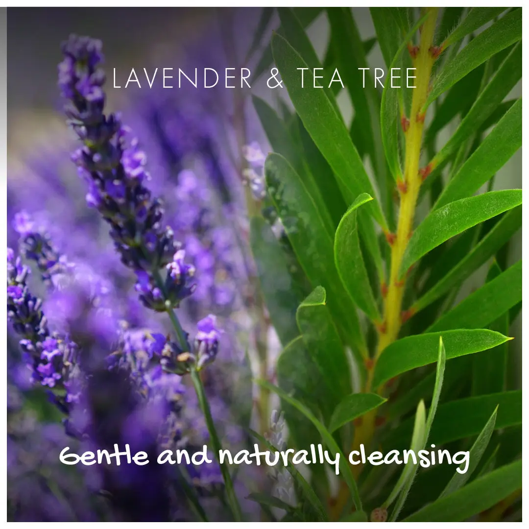 Conditioner Bar - Lavender & Tea Tree - Image 3