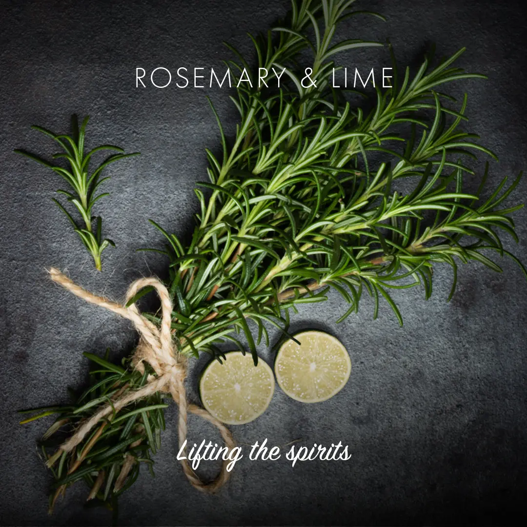 Detox Bar - Activated Charcoal - Rosemary & Lime - Image 3