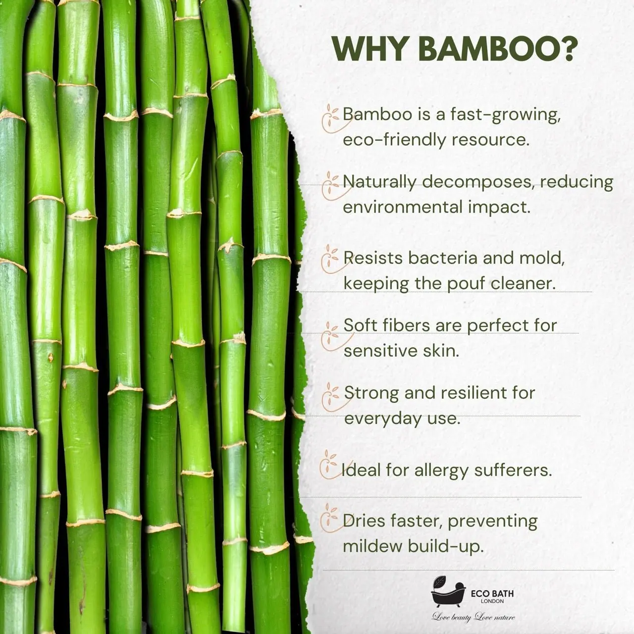 Bamboo Hair Brush with Boar Bristles - Eco-Friendly Detangling Hairbrush for All Hair Types - Image 3