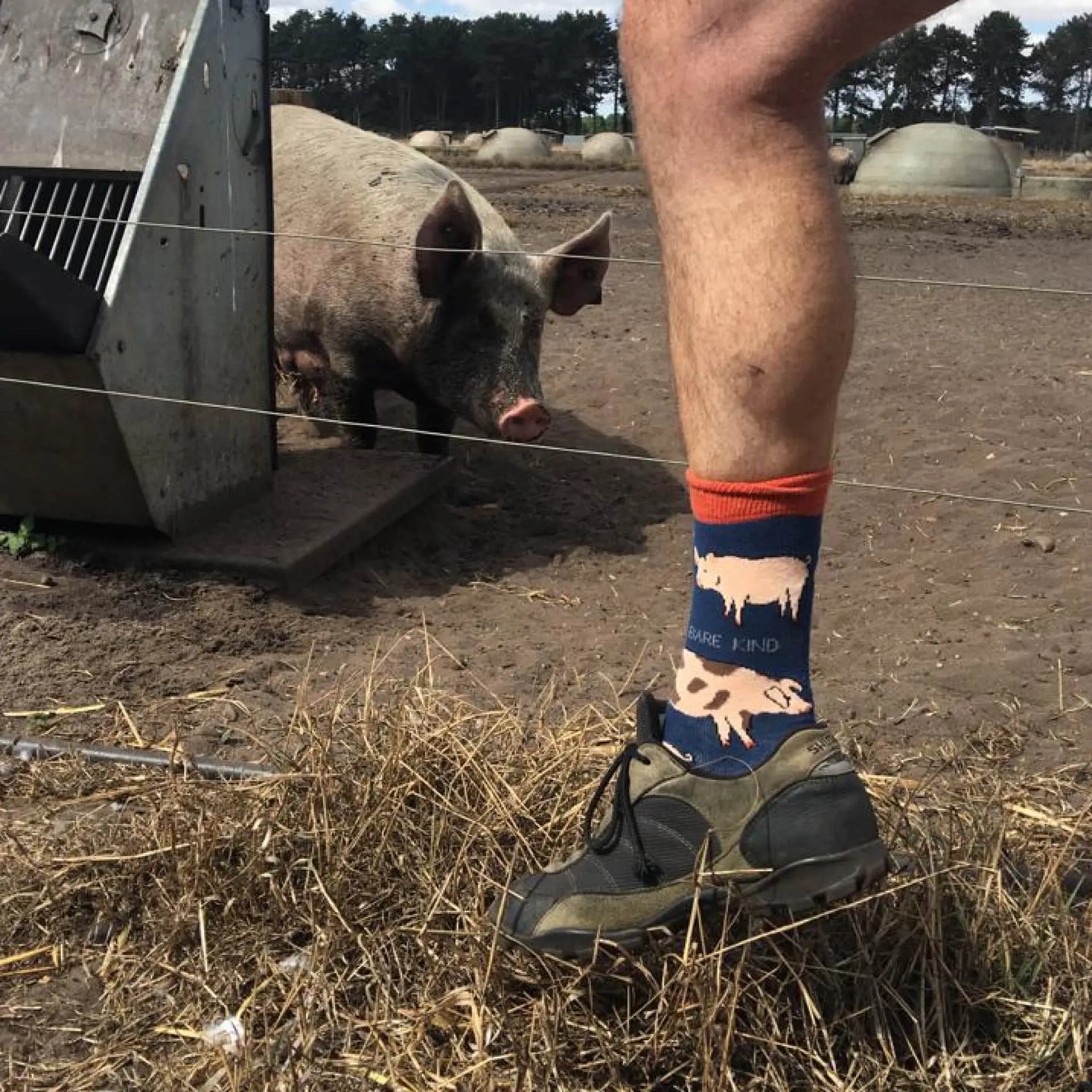 Farm 4 Pack Bamboo Sock Set - Image 6