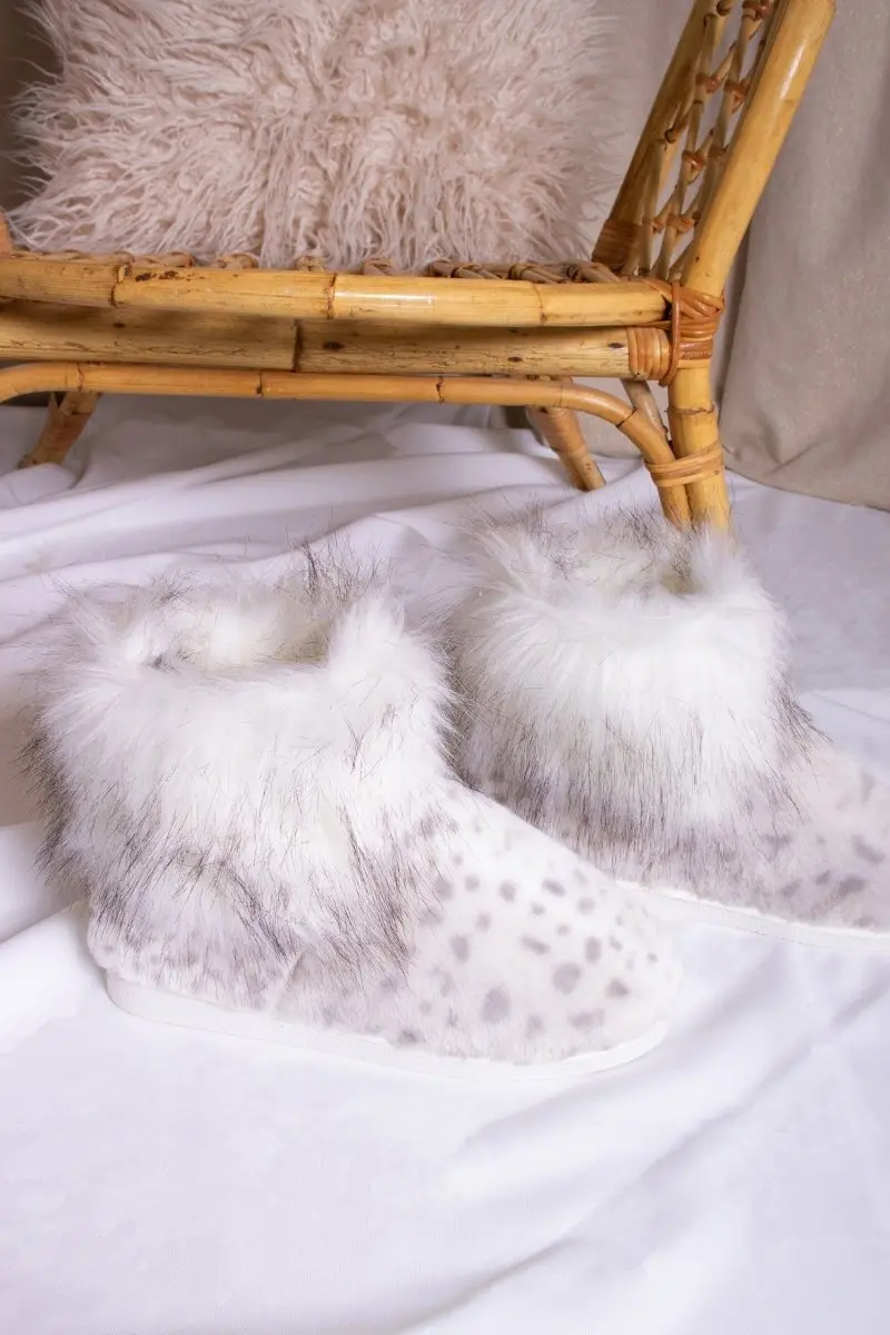 Fern in Snow Leopard - Image 5