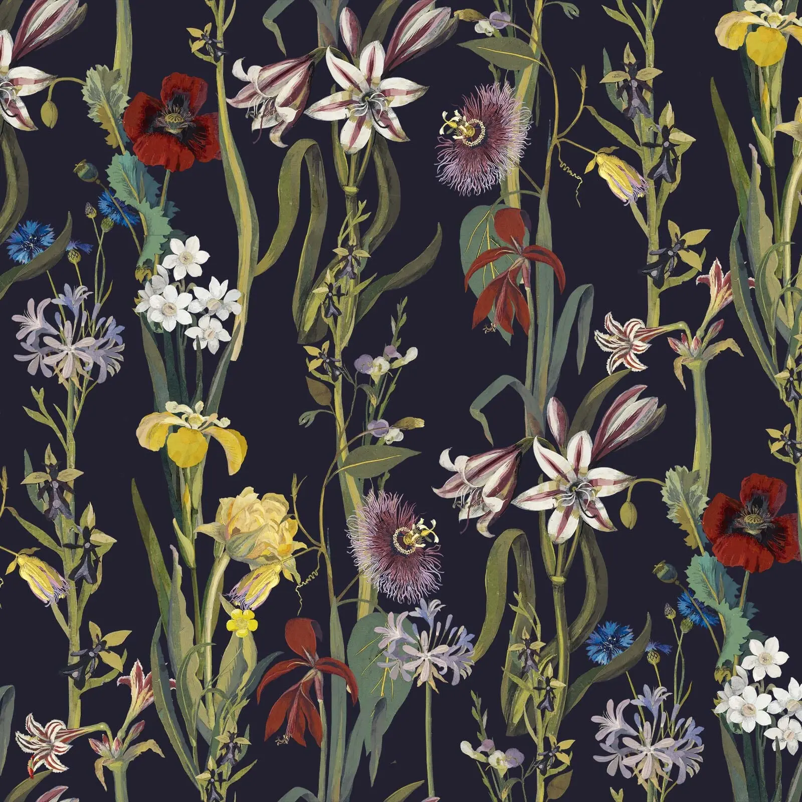 FLORA DELANICA Wallpaper - Midnight