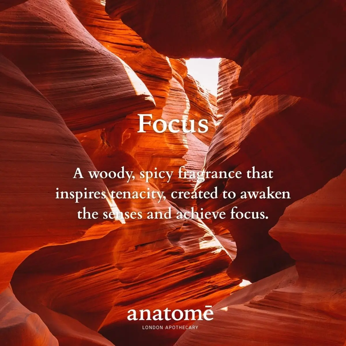 Focus Functional Parfum Travel 10ml - Image 3