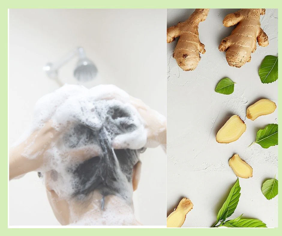 Ginger & Mint Shampoo Bar - Image 3