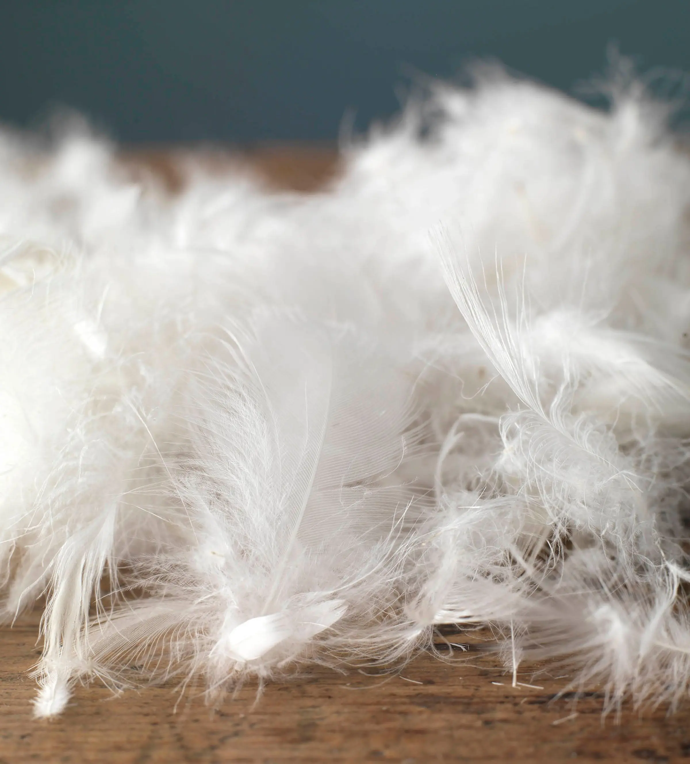 Great Goose Mattress Topper - Hungarian Goose Feather & Down