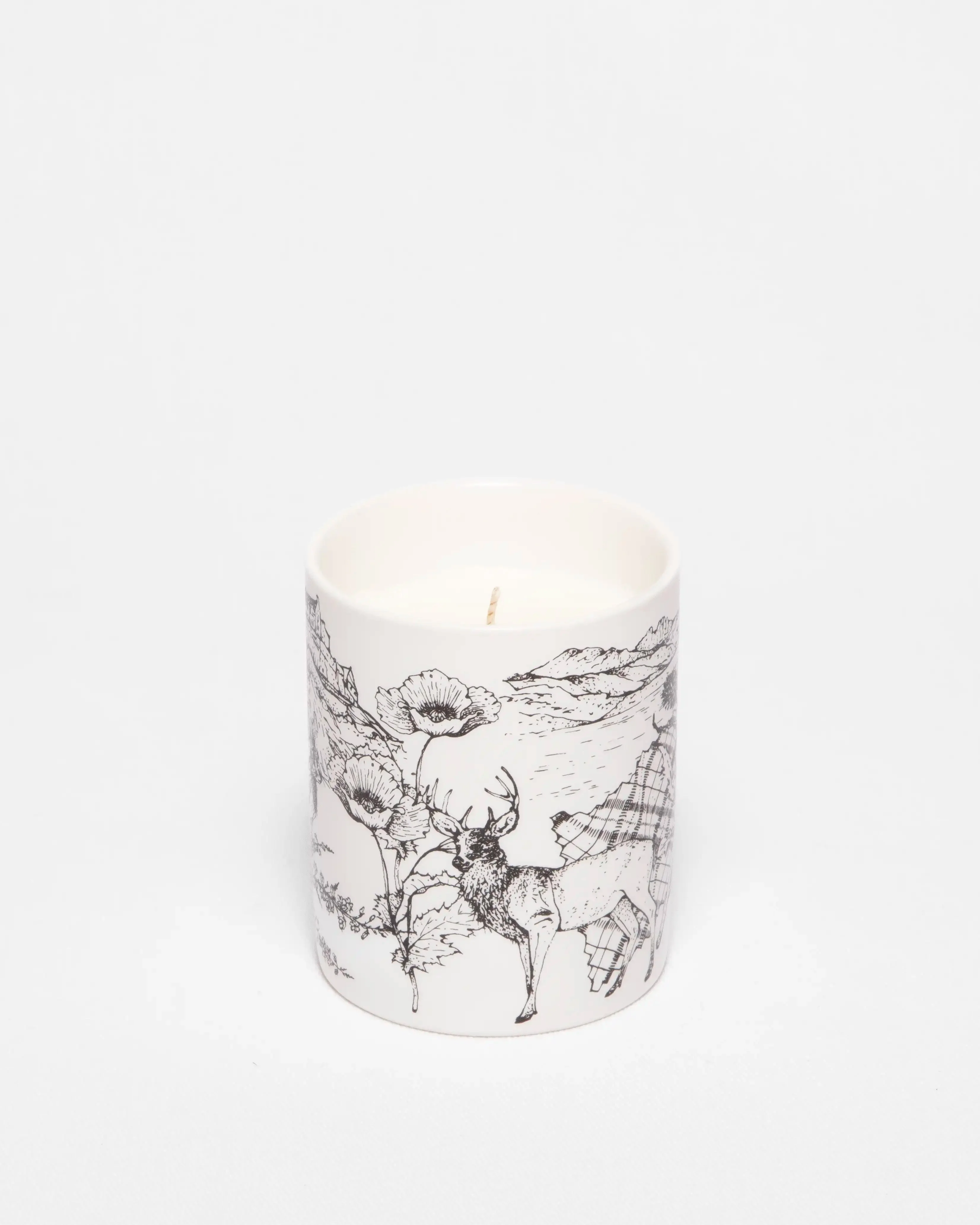 Highland Retreat, Scotland Candle, 80g - Image 2