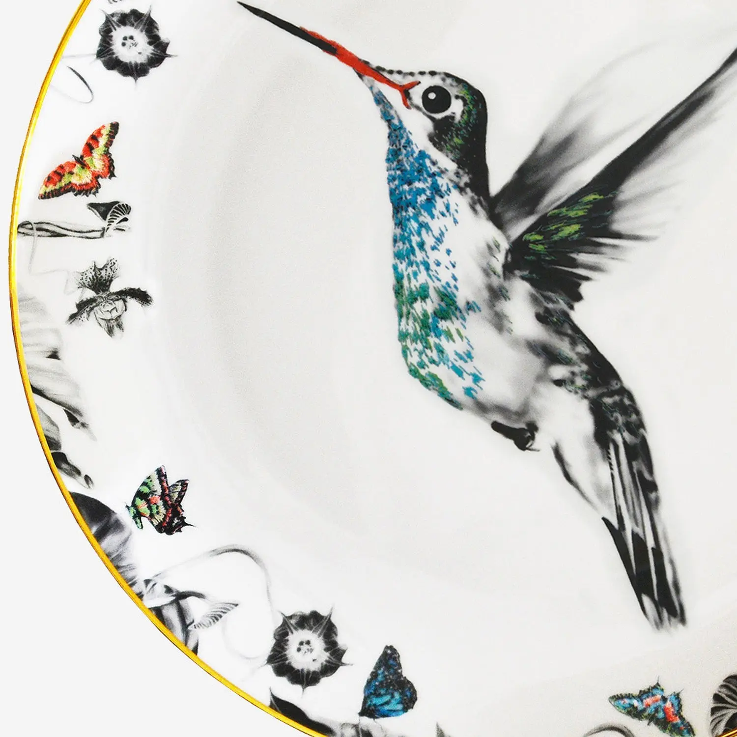 Hummingbird Bone China Plate - Hector - Image 2