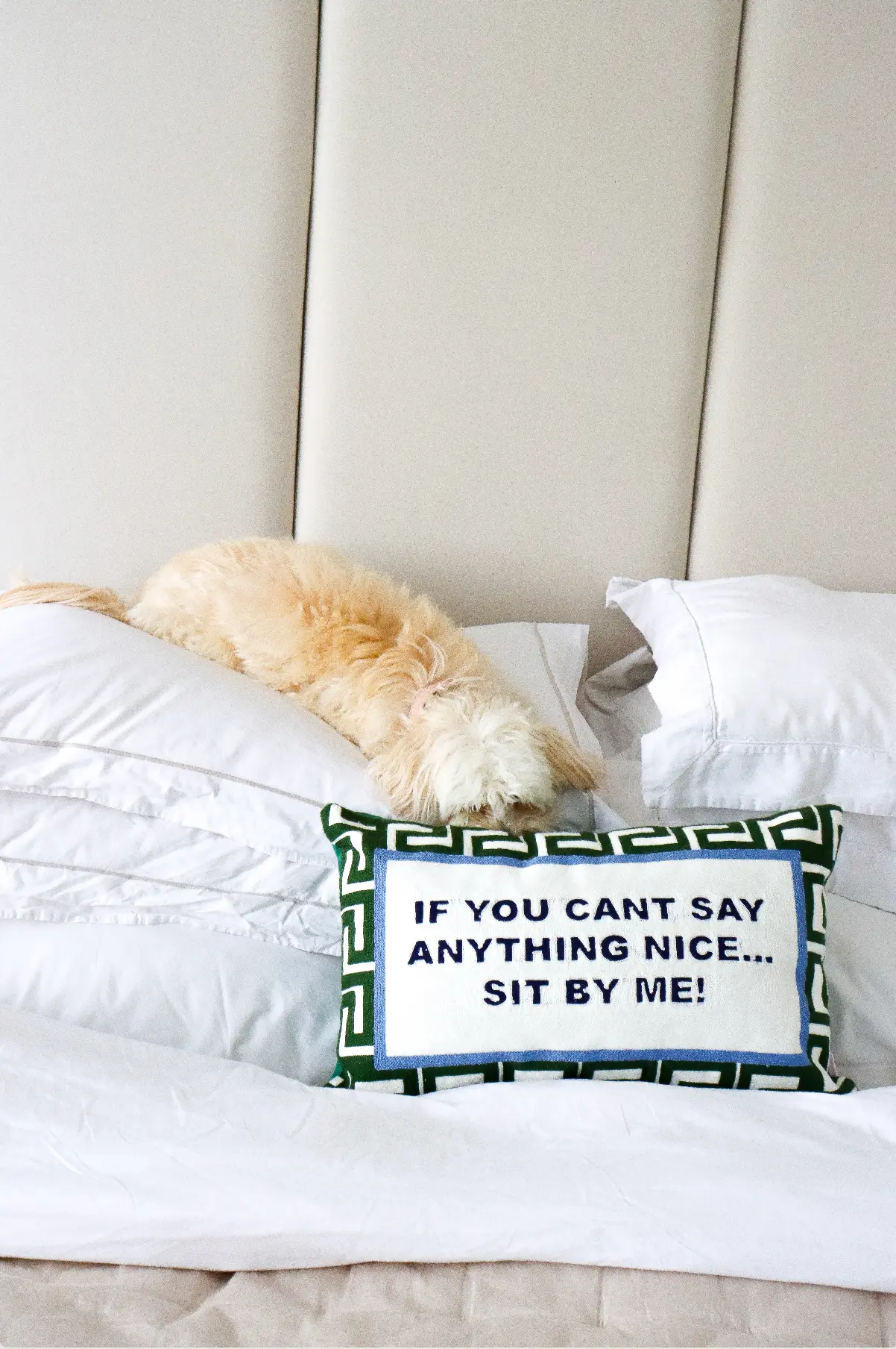 If You Can't Say Anything Nice...Sit By Me Needlepoint Cushion - Image 2