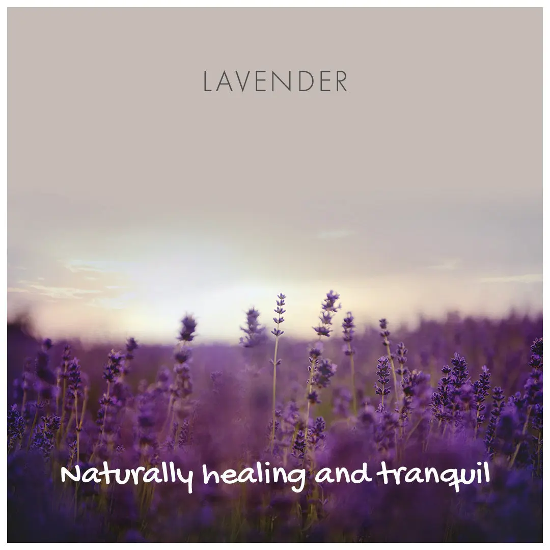 Lavender Natural Soap - Image 3