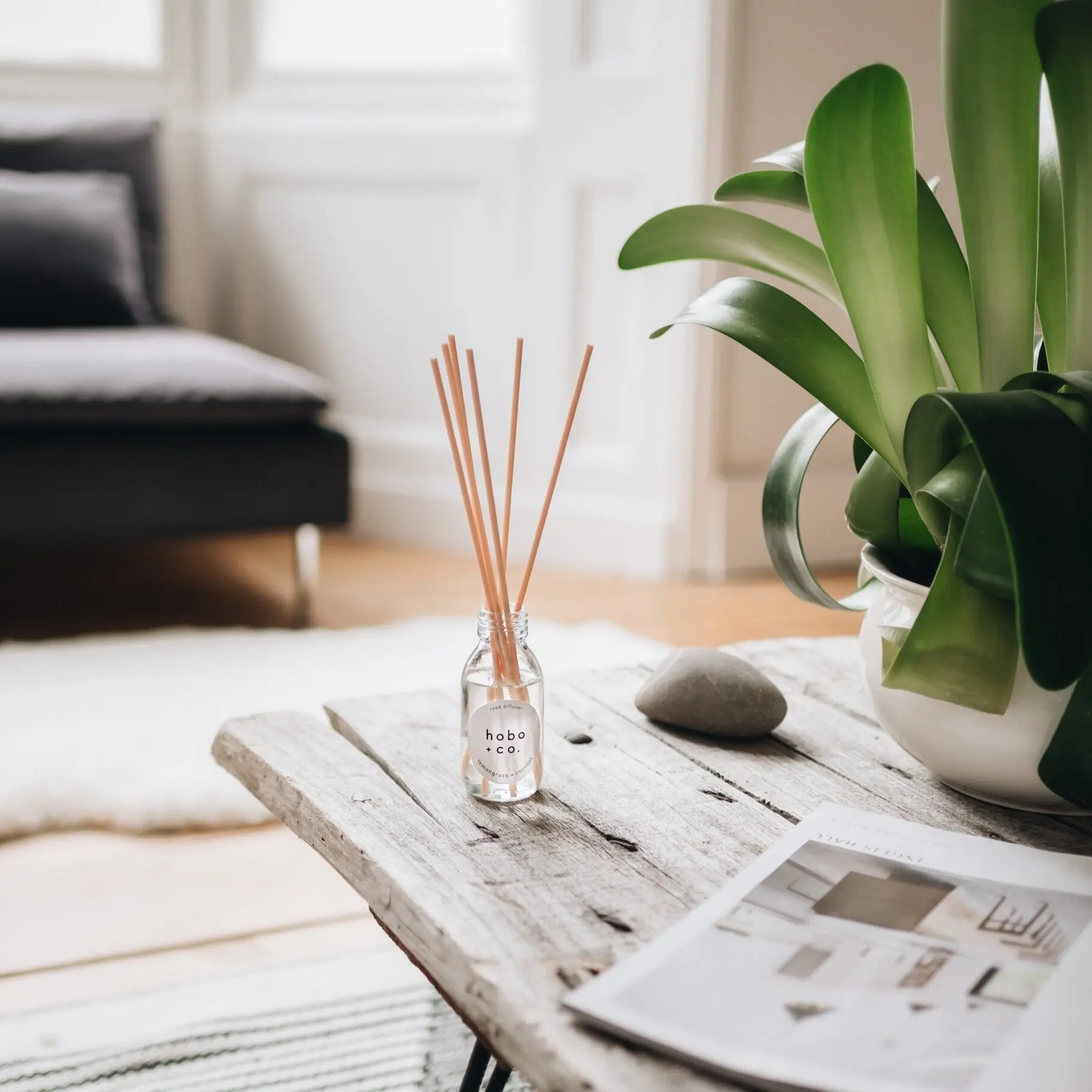 Lemongrass and Coconut Reed Diffuser - Image 4