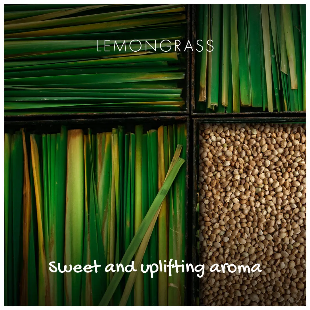 Lemongrass Natural Soap - Image 3