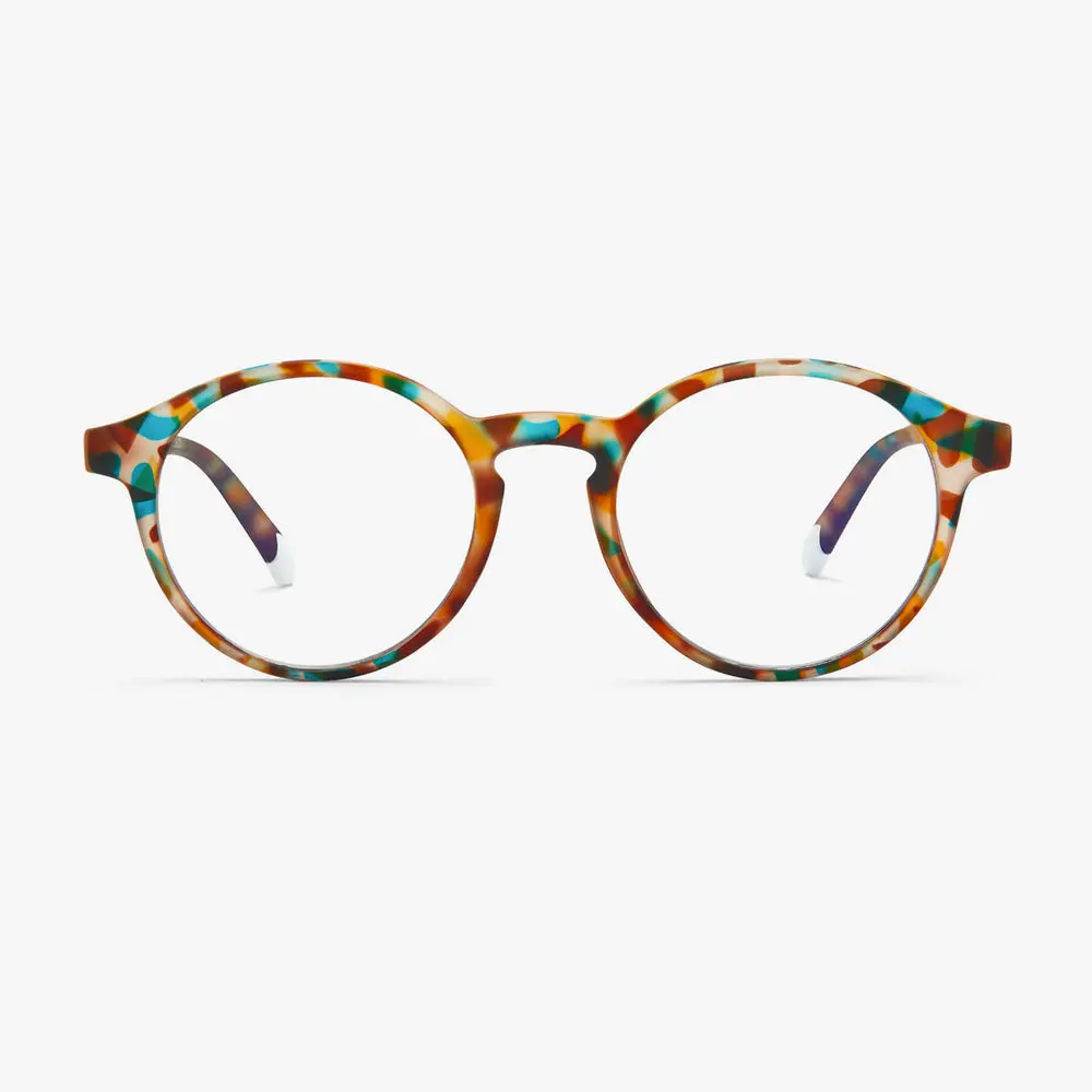 Light Tortoise Le Marais Glossy Glasses - Image 3