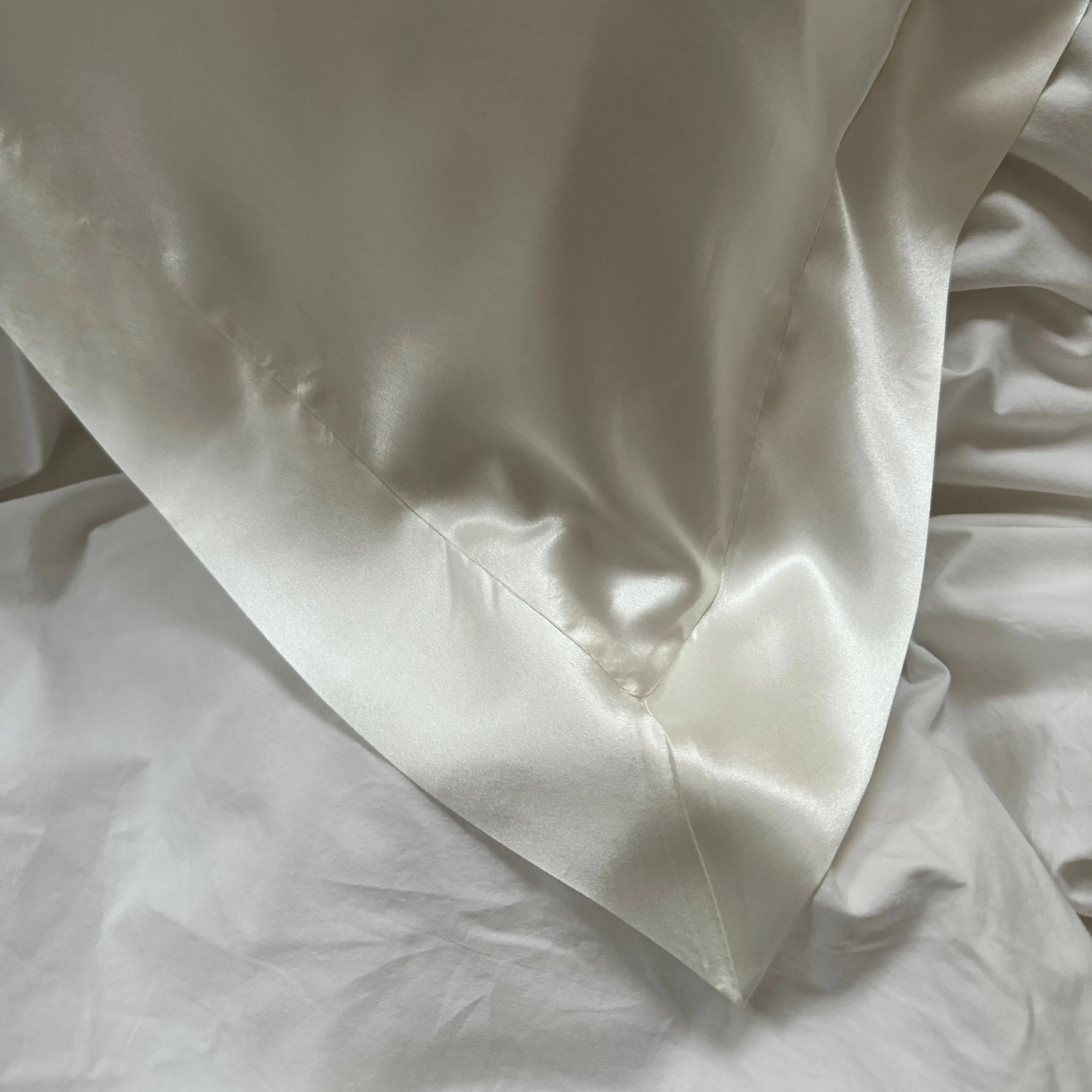 Lucinda Oxford Set of 2 Silk Pillowcases - Image 2