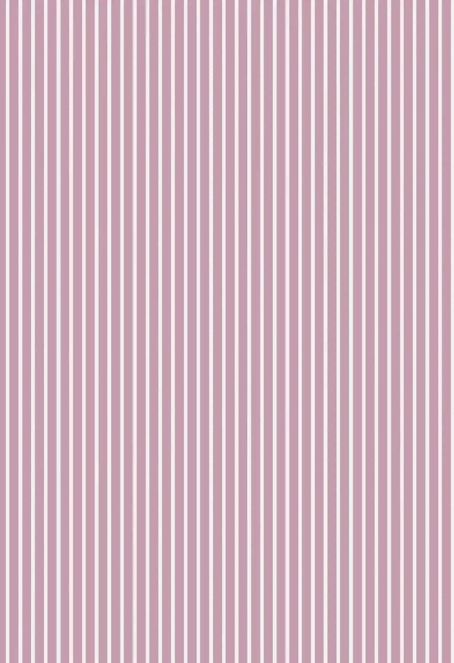 Mauve Stripe Women's Organic Cotton Cami Trouser Set - Image 2