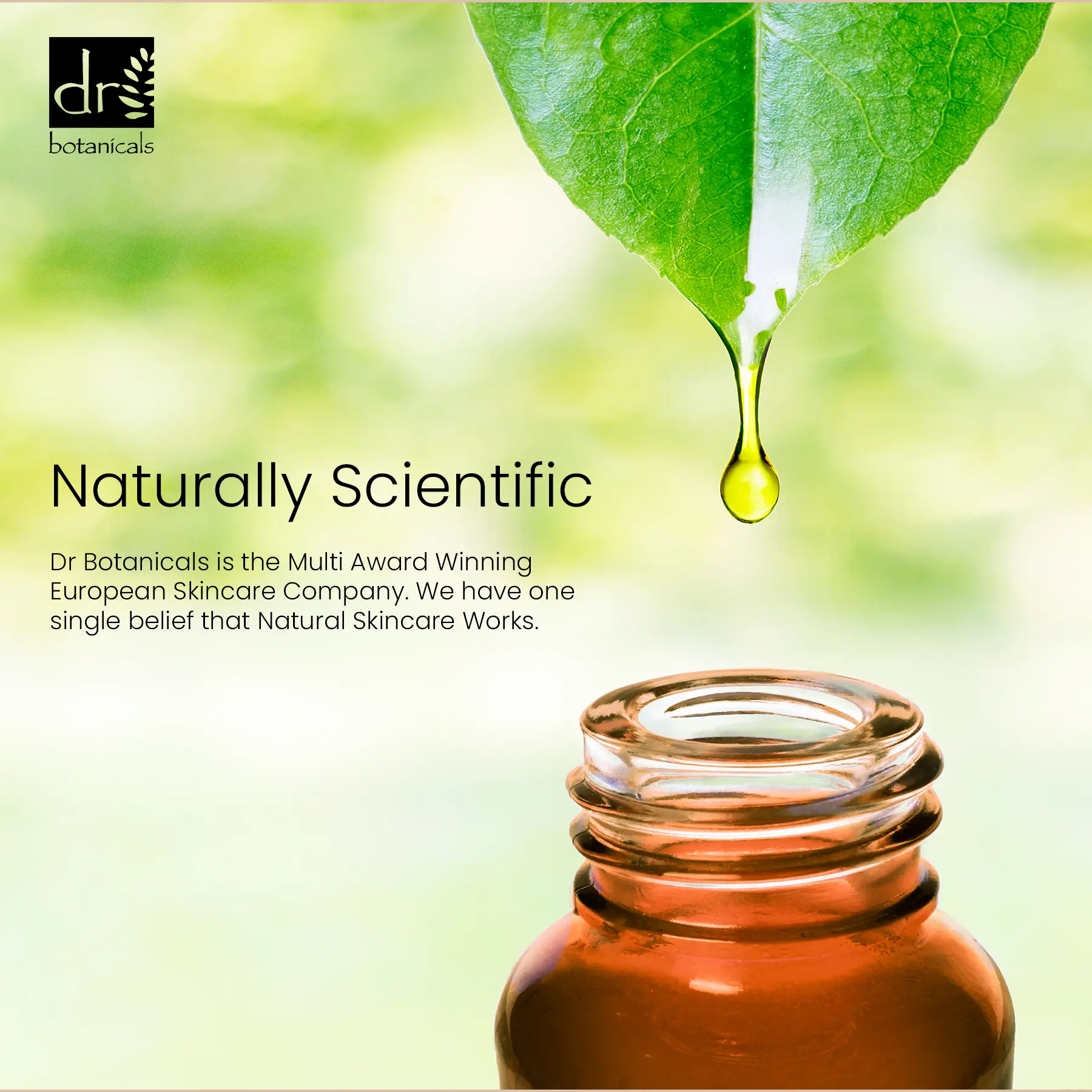 Moroccan Rose Facial Oil with Hyaluronic Acid & Vitamin C - Image 7