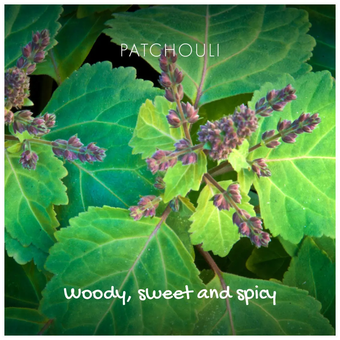 Natural Soap On A Rope - 'Woody' Patchouli & Sandalwood 125g - Image 3