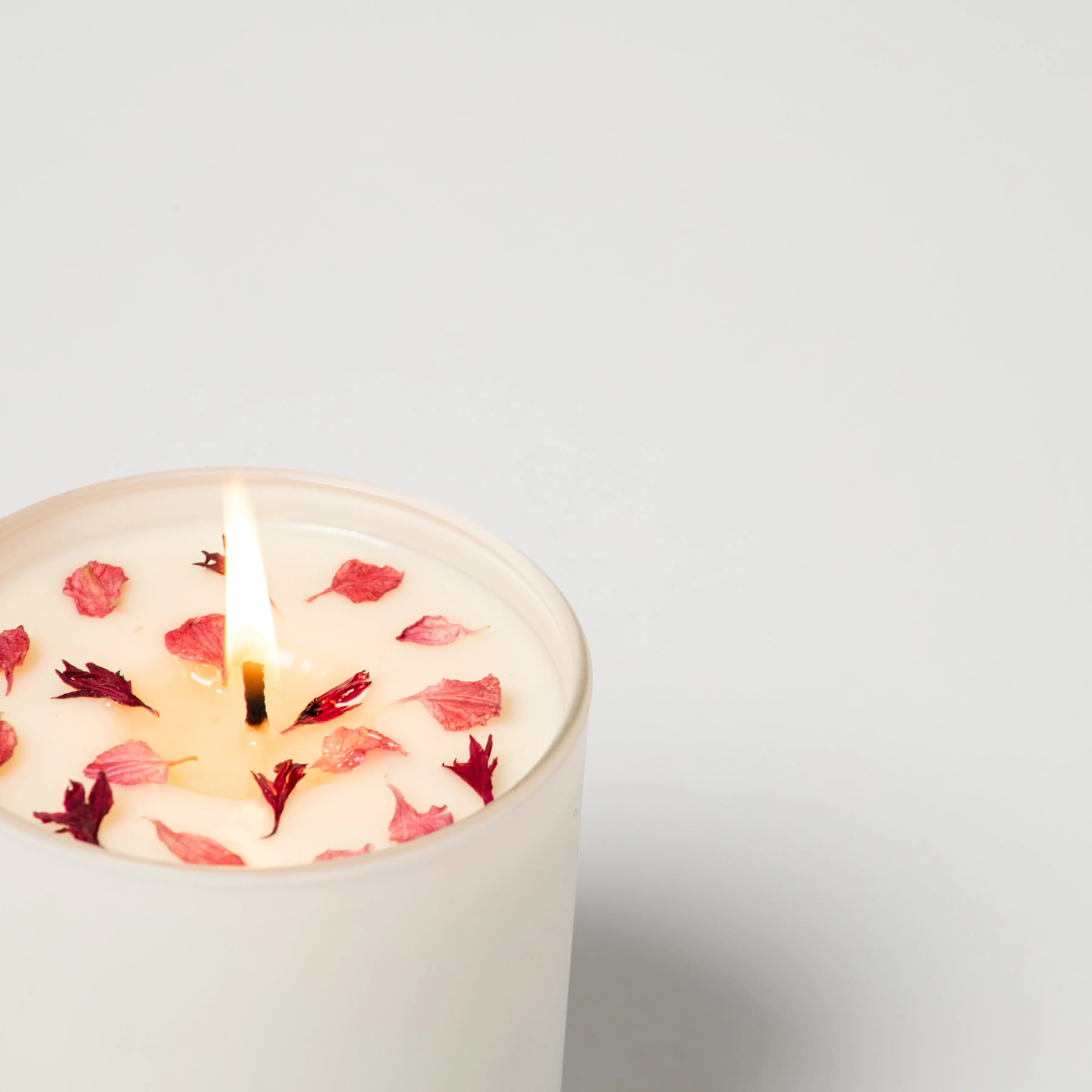 New! Cherry Orchard - Image 2