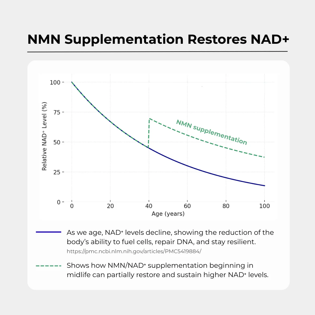 NMN - Image 7