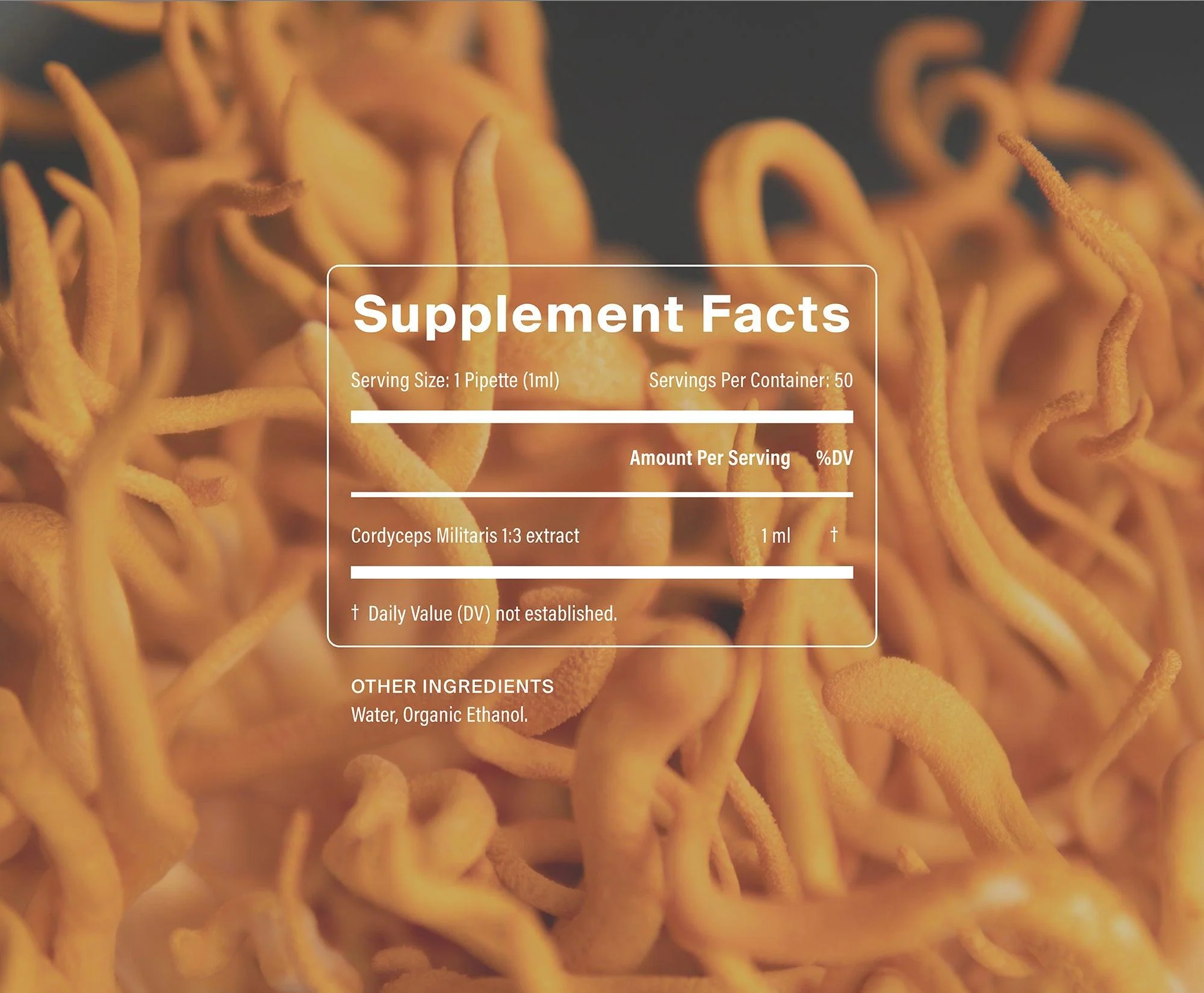 Organic Cordyceps - Image 3