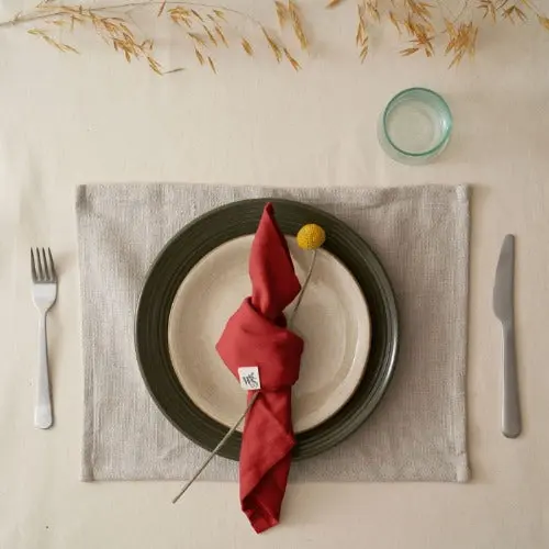Organic Cotton Napkins - Set of 4 - Image 8