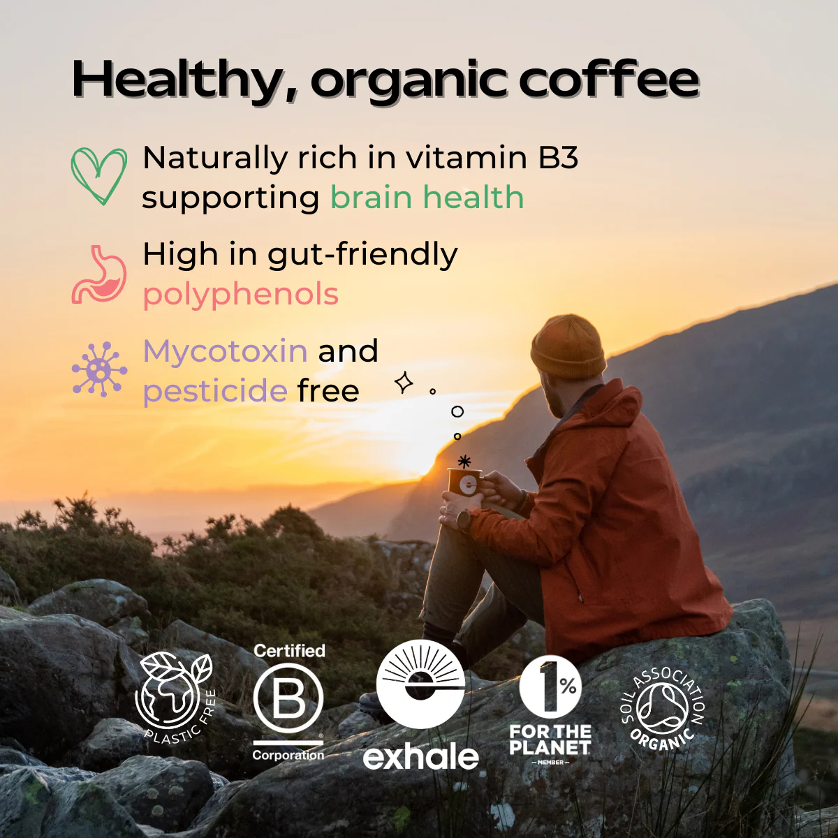 Organic Decaf Coffee - Image 4