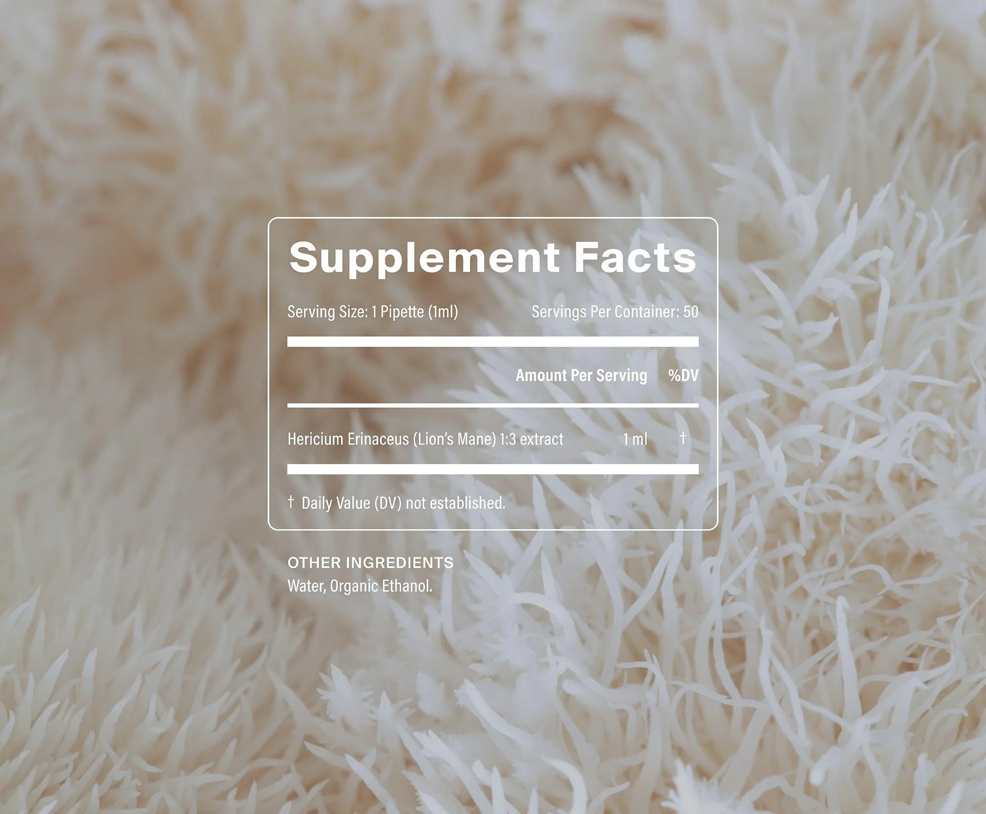 Organic Lion's Mane - Image 3