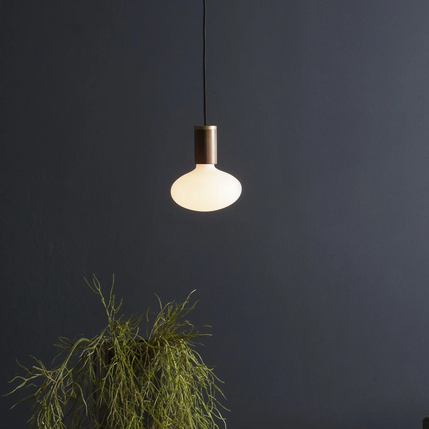 Oval II Pendant Light in Walnut - Image 2