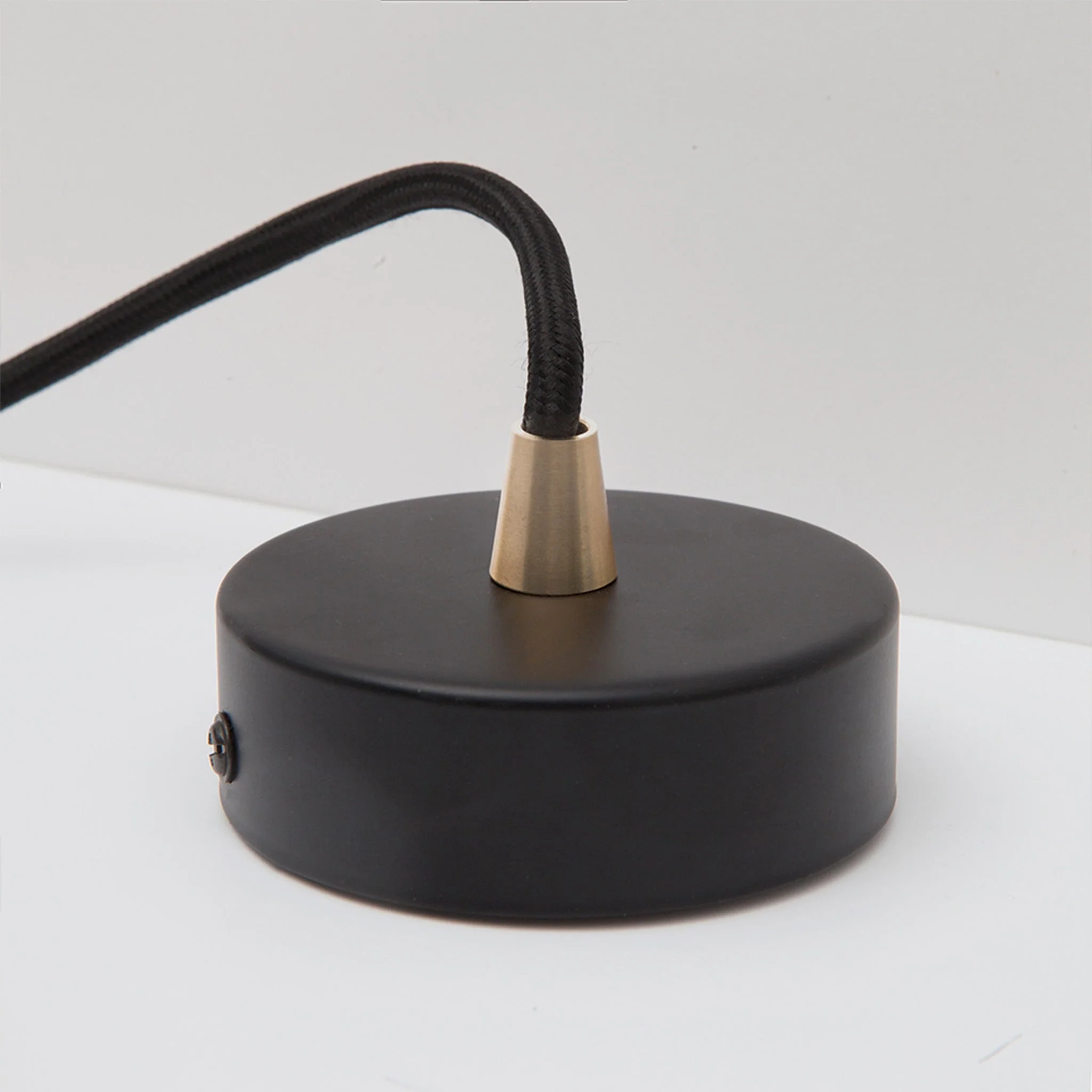 Oval II Pendant Light in Walnut - Image 7