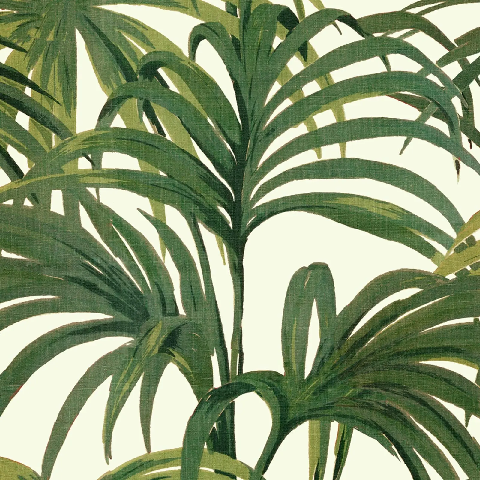 PALMERAL MAGNA Wallpaper - Off White/Green