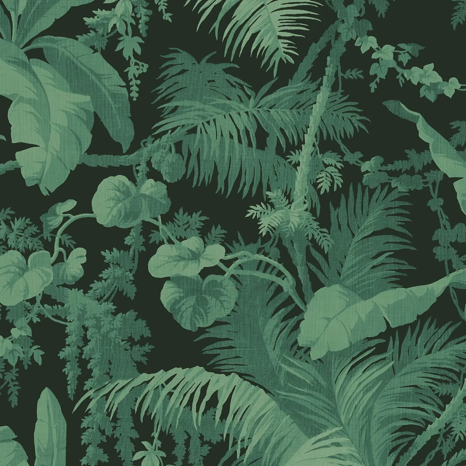 PAMPAS Wallpaper - Noir
