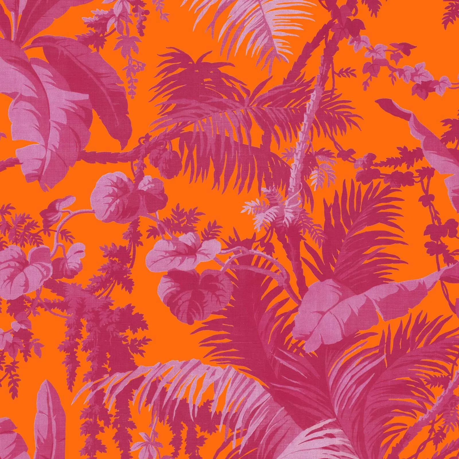 PAMPAS Wallpaper - Tangerine & Azalea