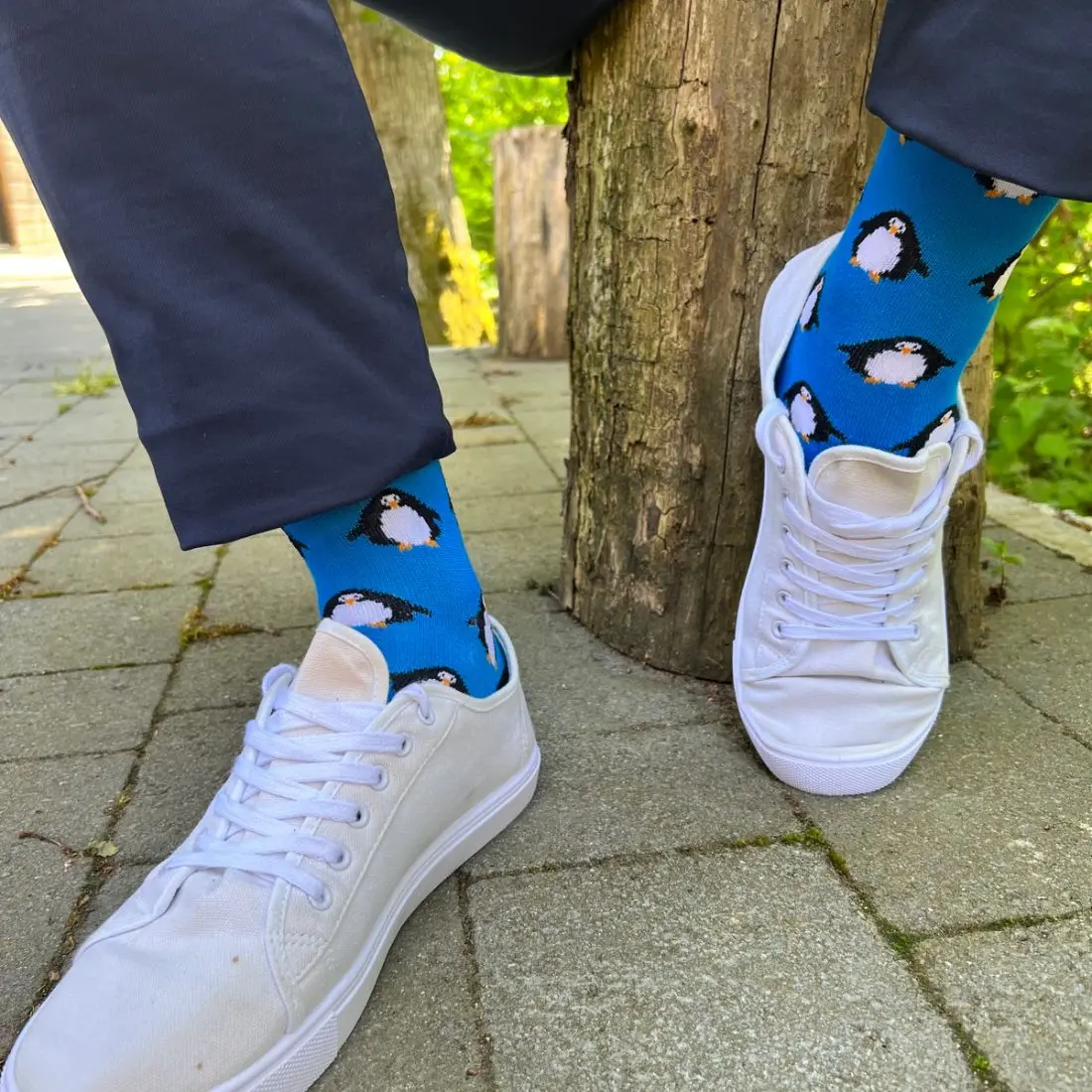 Penguin Bamboo Socks - Image 2