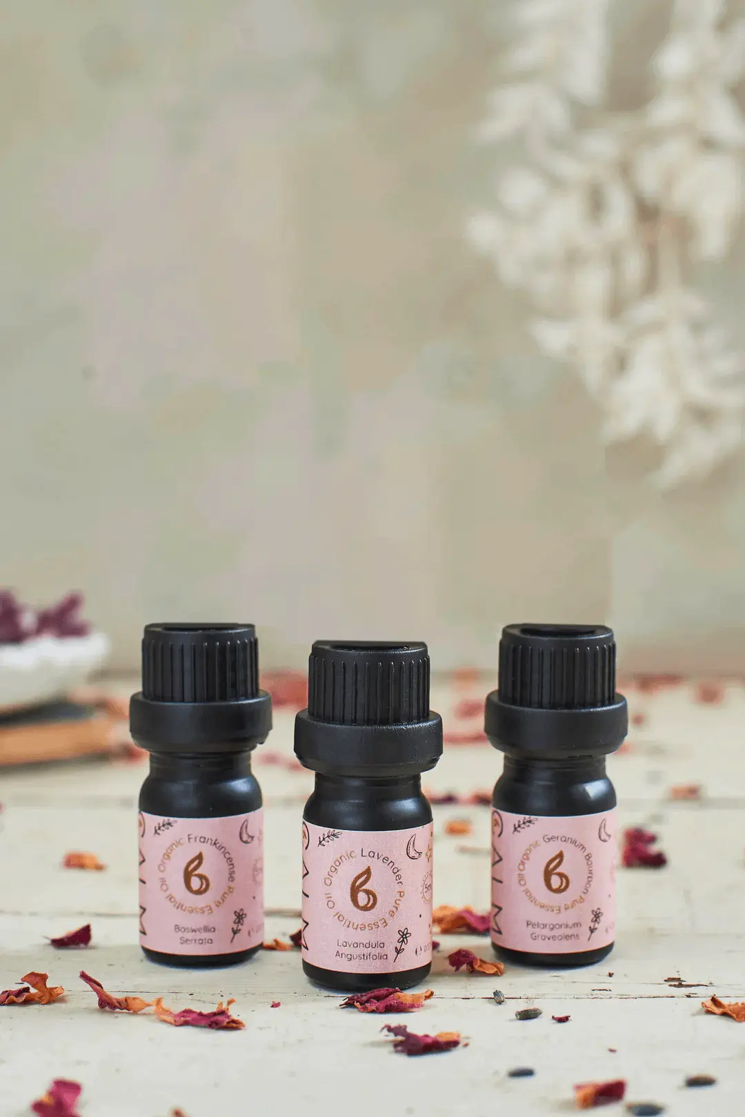 Rest Calm Essential Oil Set - Image 5