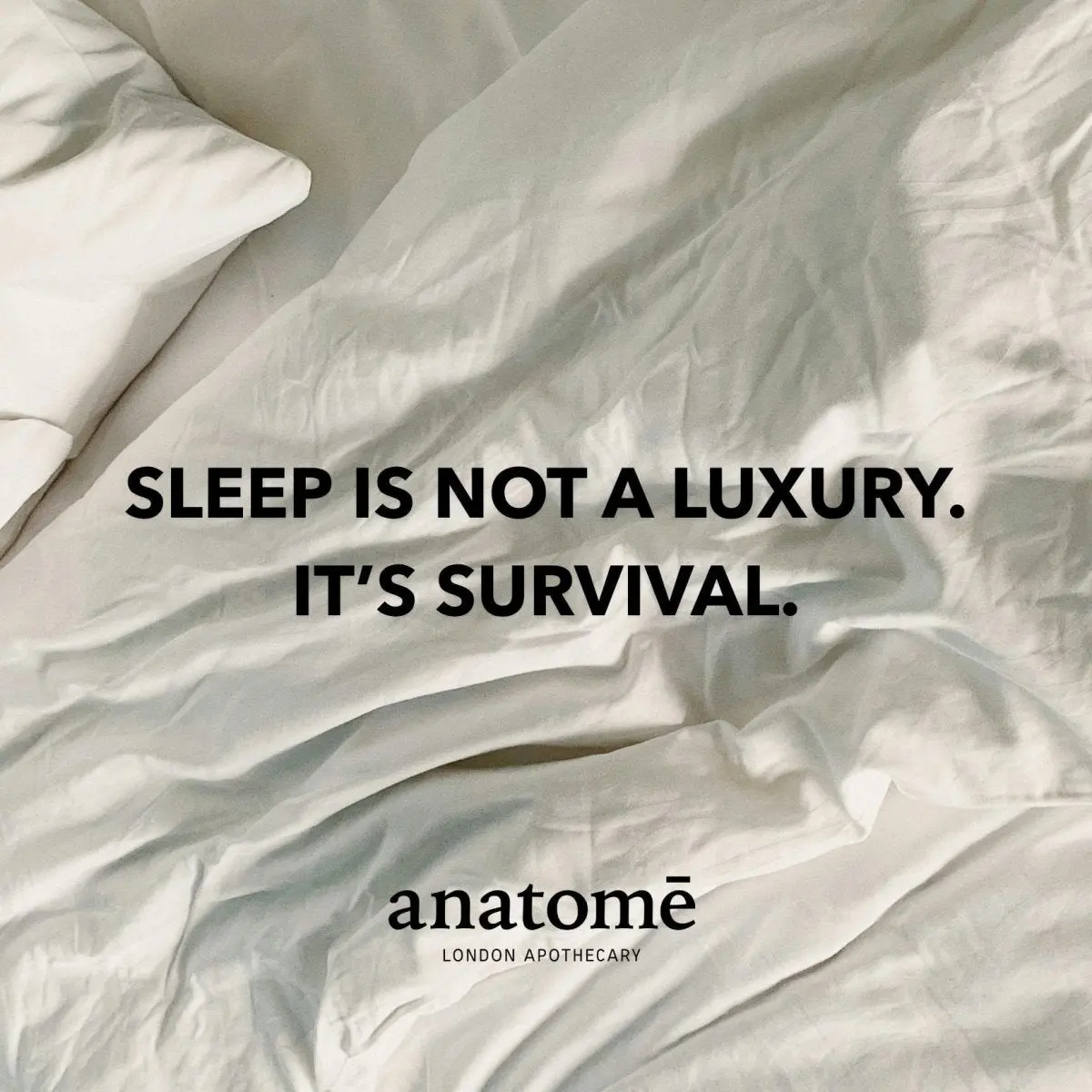 Restless Mind Sleep Oil | Roman Chamomile - Image 7