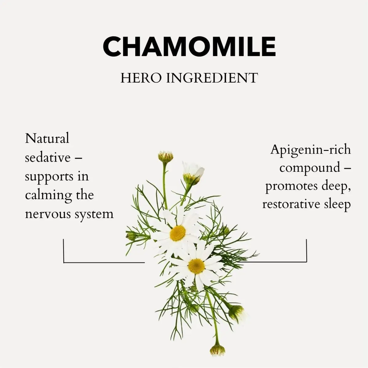 Roman Chamomile Pillow Spray 50ml - Image 3