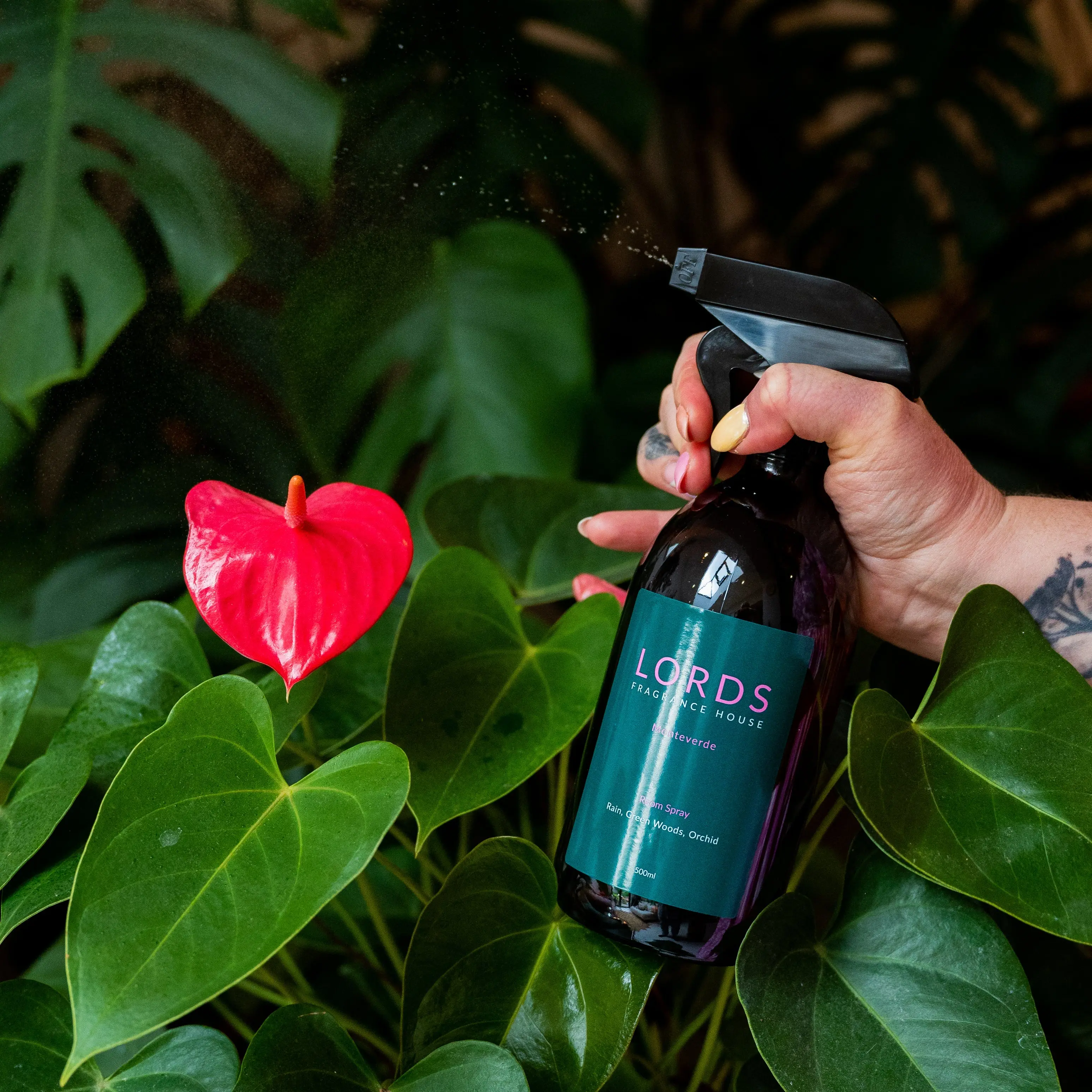 Room & Linen Sprays - Image 9