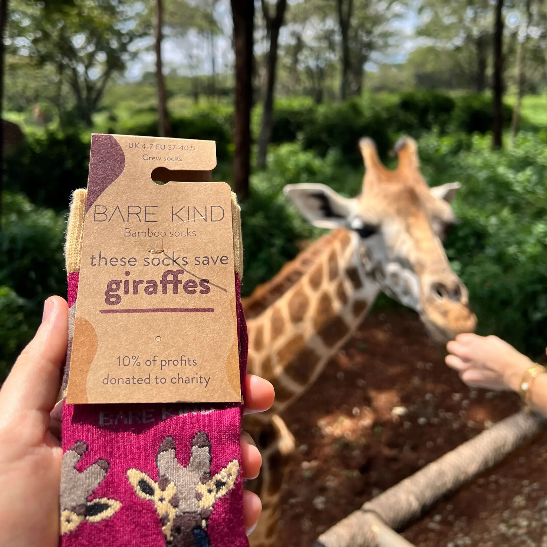 Safari Giants 2 Pack Bamboo Sock Set - Image 2