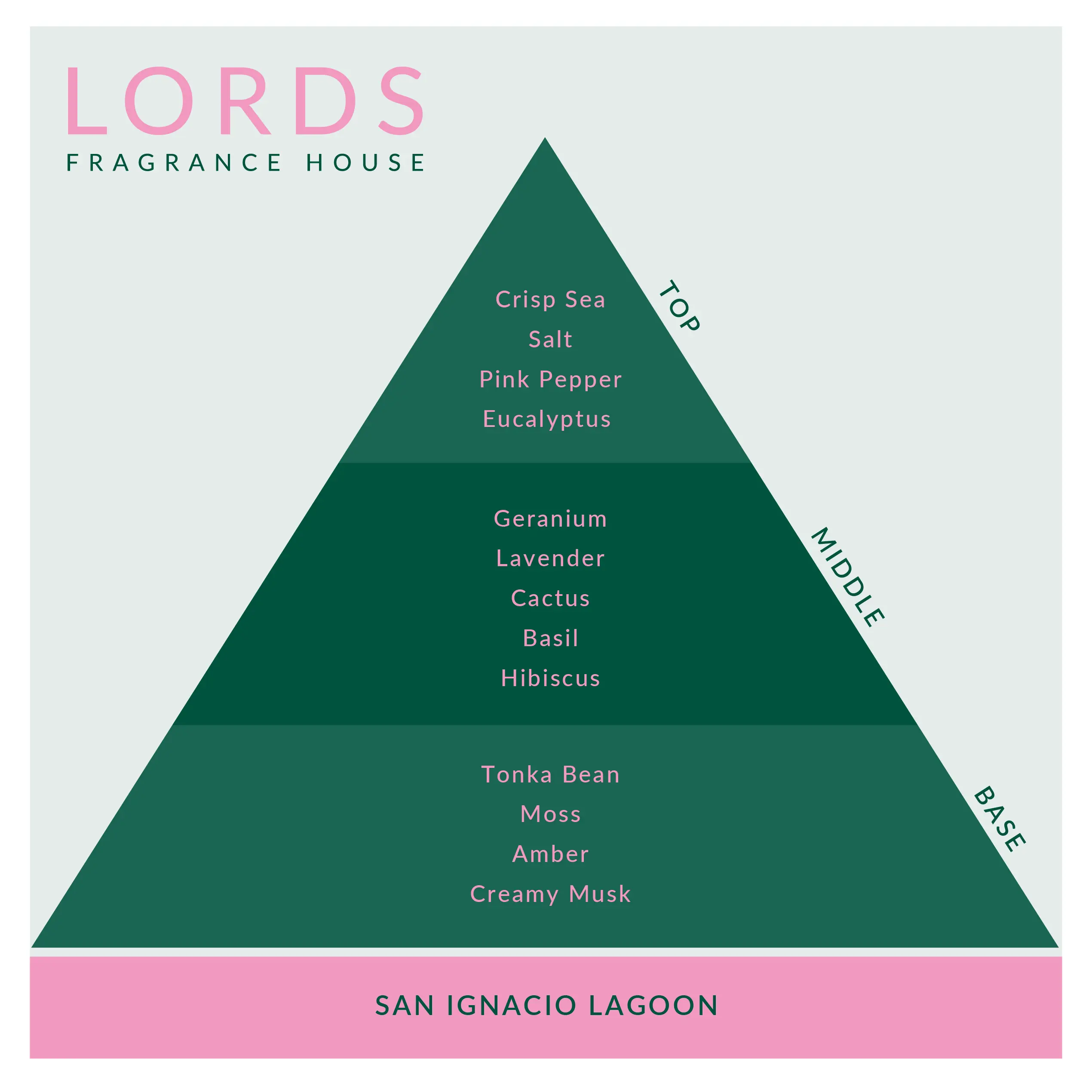 San Ignacio Lagoon Fragrance Oil - Image 2