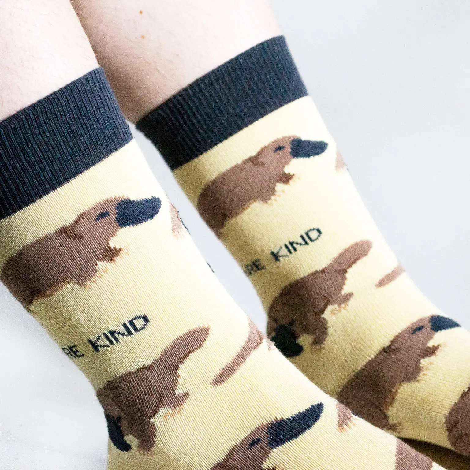 Save the Platypus Bamboo Socks - Image 4