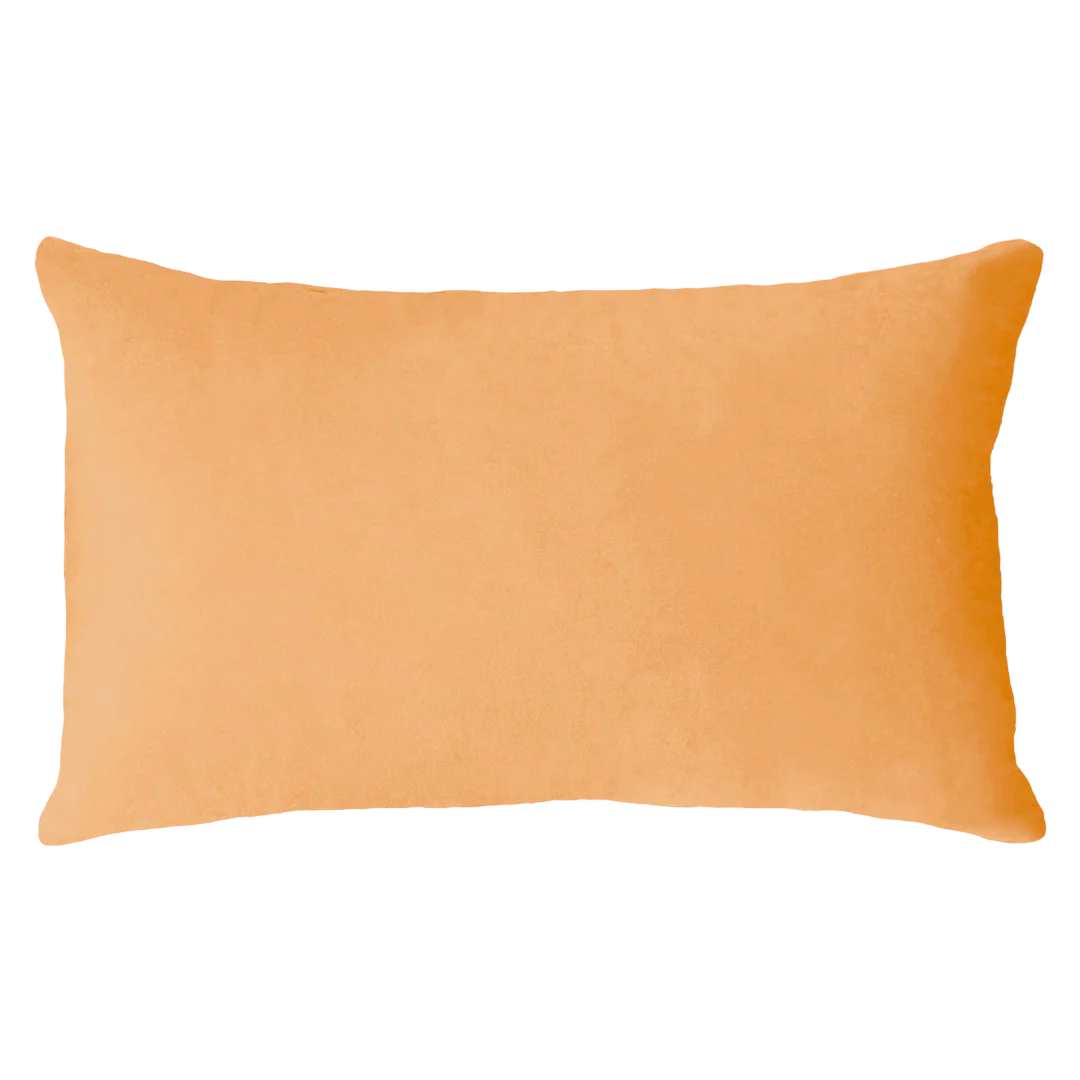 Scorpio Season Needlepoint Cushion - Image 2